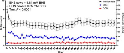 Connecting Metabolism to Mastitis: Hyperketonemia Impaired Mammary Gland Defenses During a Streptococcus uberis Challenge in Dairy Cattle